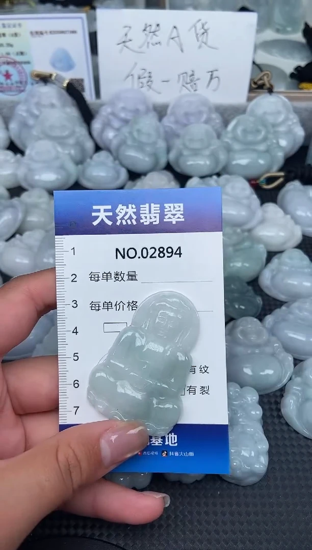 颈饰未镶嵌翡翠纯天然A货翡翠2894
