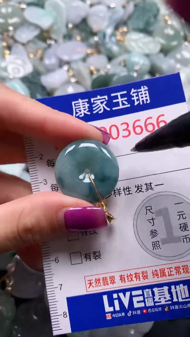 颈饰未镶嵌翡翠3666