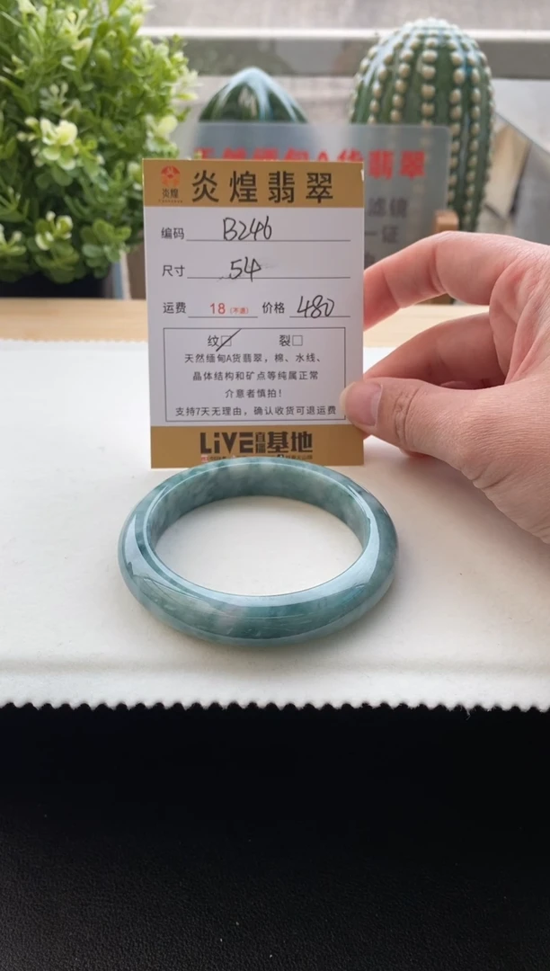 未镶嵌手镯翡翠圈口54.3编码b246