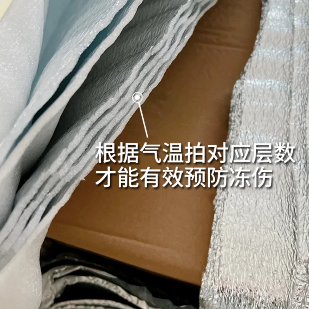 【挚简】高品质小众鲜花【保温棉】