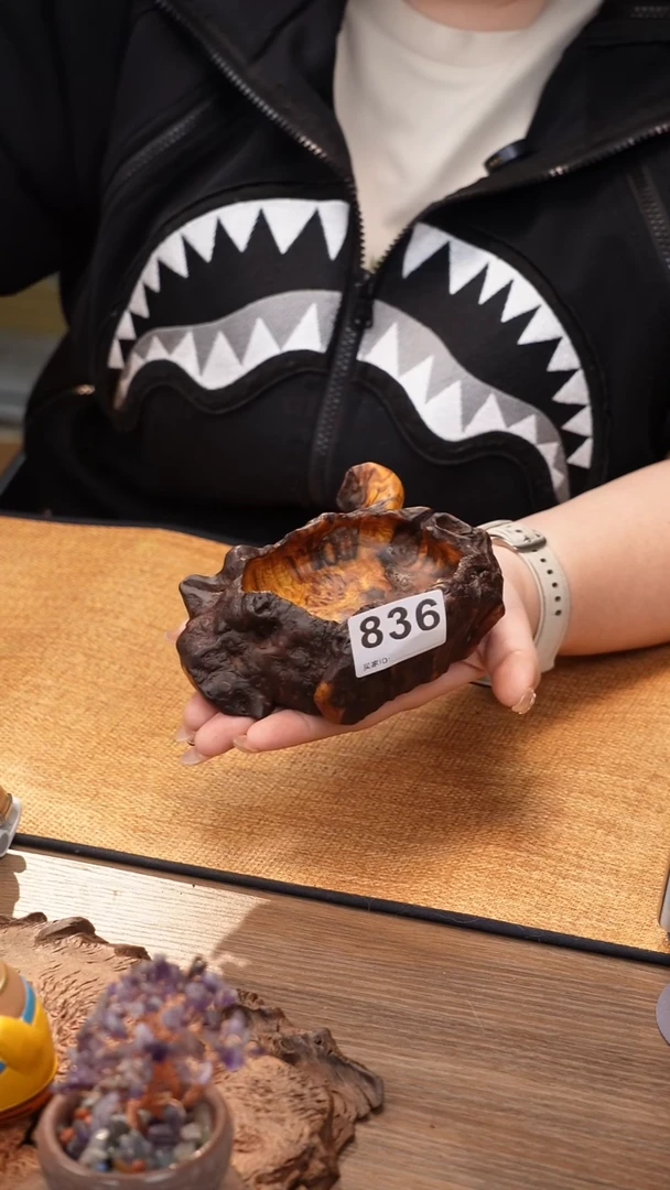 风****浪836号云小屋金丝杜仲果盘