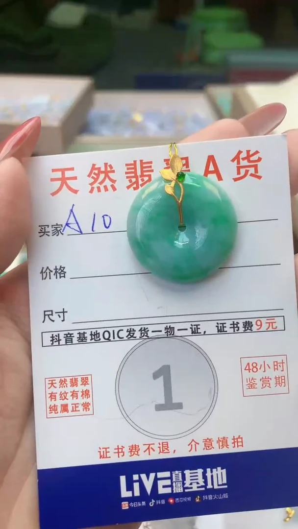 颈饰未镶嵌翡翠天然A货翡翠挂件