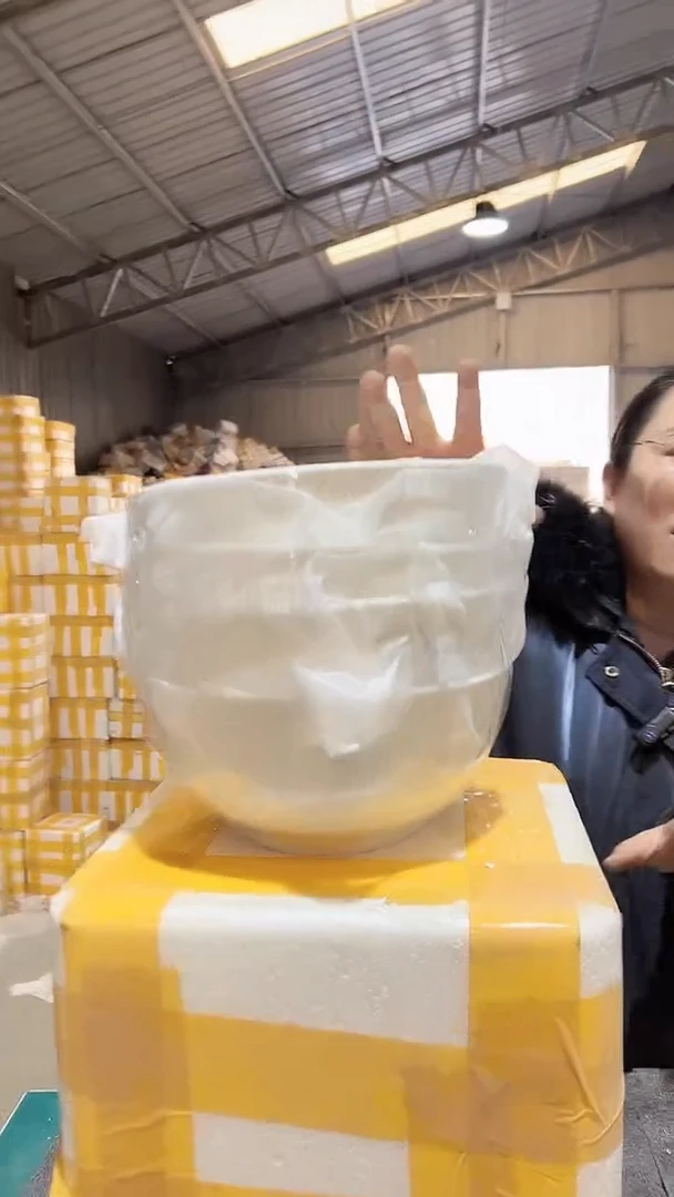 【闪购商品】瓷7英寸爱丽丝碗4只