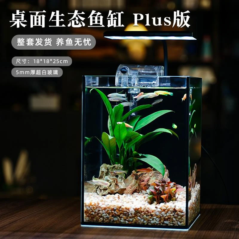 鱼缸客厅小型家用桌面办公室迷你专用斗鱼缸超生态造景小型鱼缸
