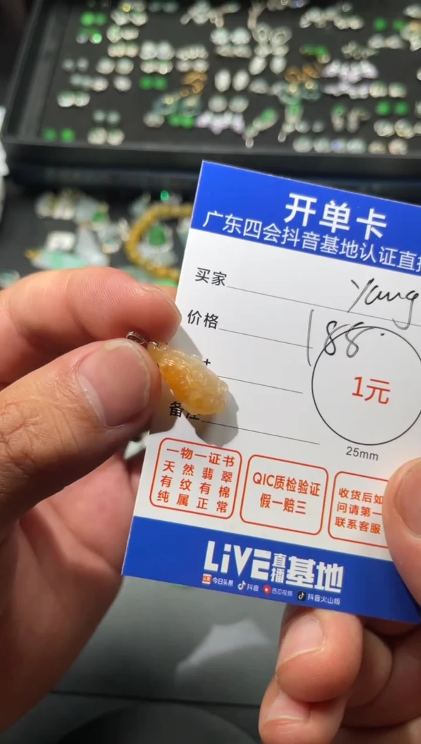 翡翠未镶嵌颈饰Y****.挂件