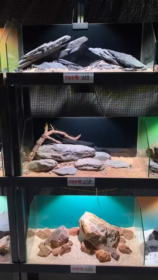 702号鱼缸造景（不含底砂）