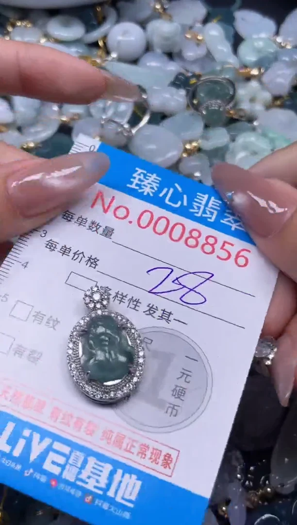 颈饰未镶嵌翡翠8856