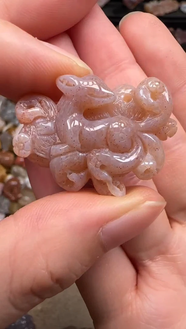 硅化珊瑚（珊瑚玉）未镶嵌颈饰521