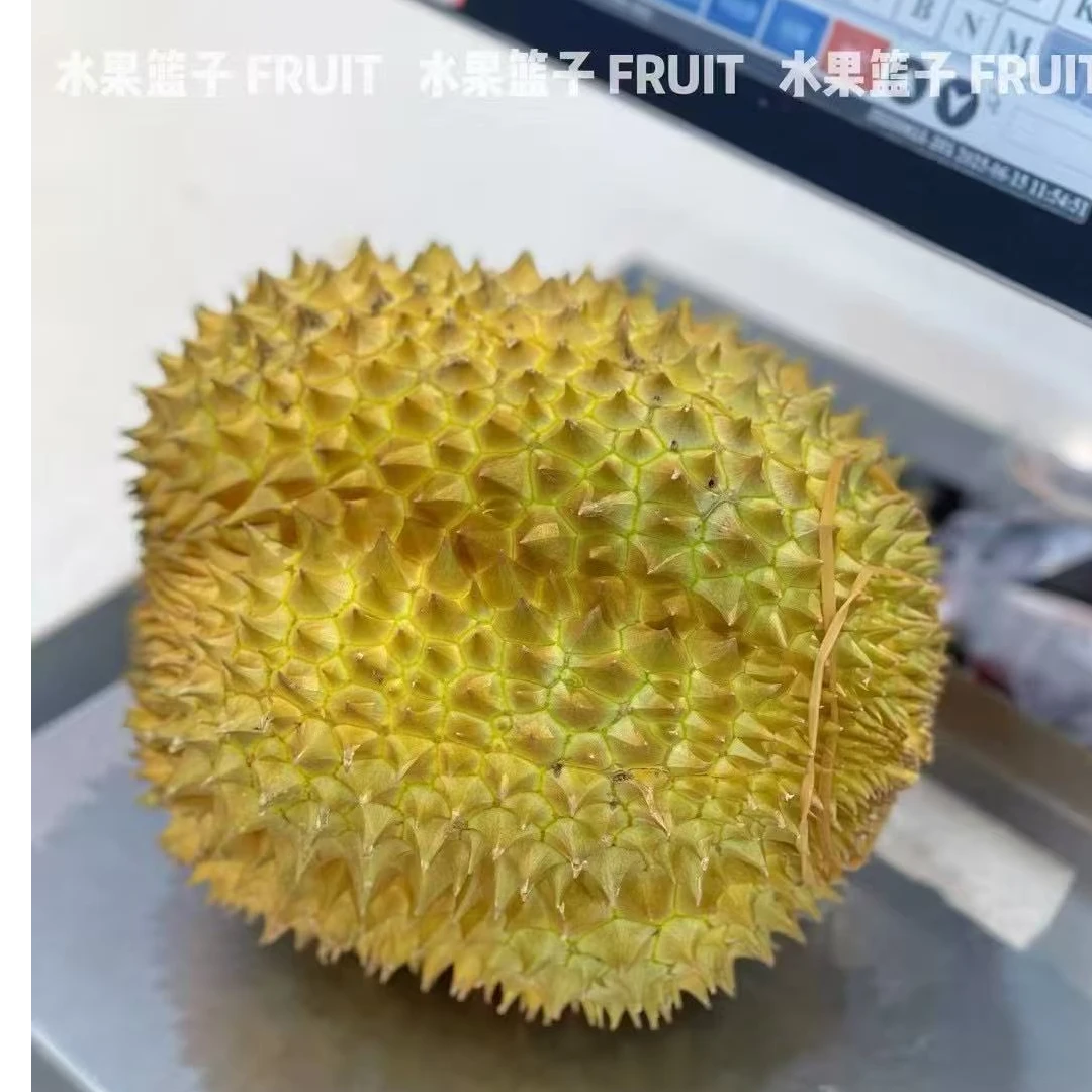 2.金枕榴莲 新鲜榴莲 同城外卖 一物一拍 3-8斤 核小 榴莲同城配金枕泰国