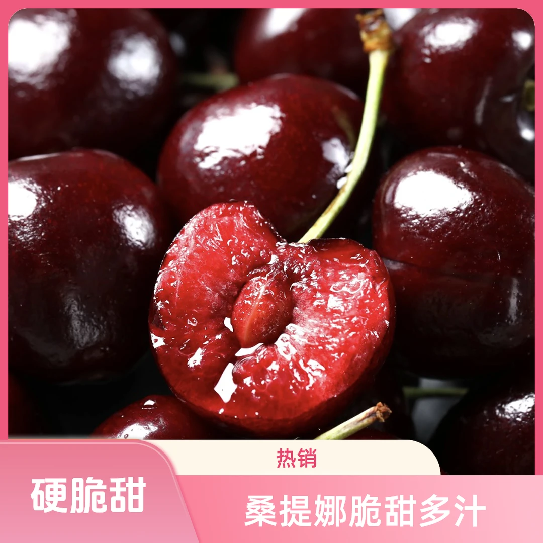 【YZCT】4JD1.6智利海运进口桑提娜脆甜多汁新鲜大果 内附果径卡