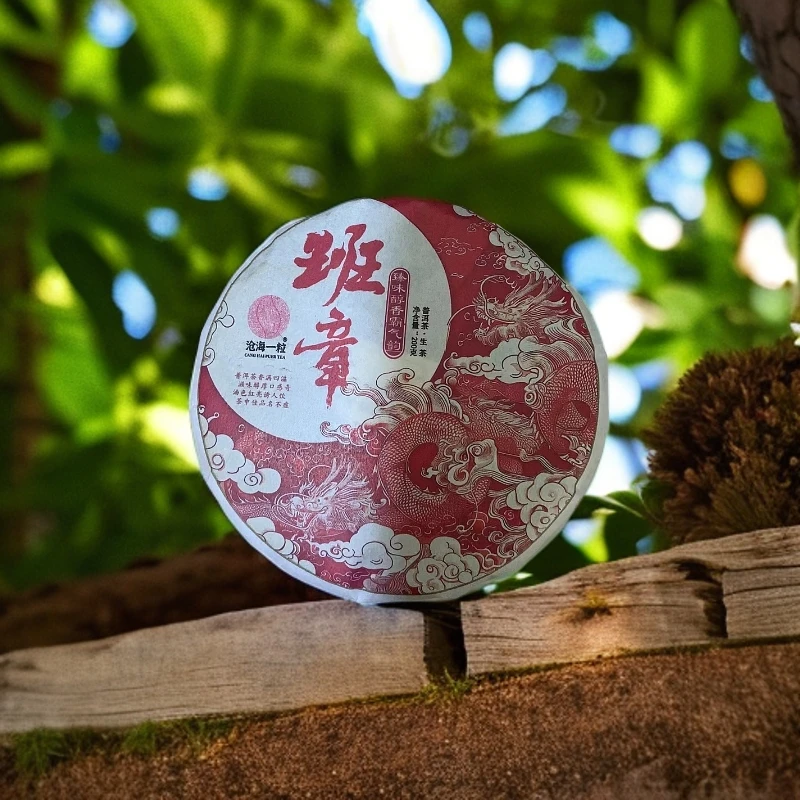班章200-357克【2009年原料 2023年压制】-普洱生茶