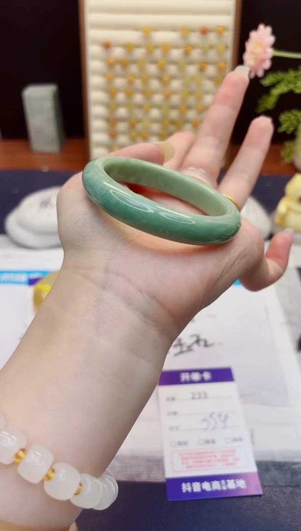 未镶嵌手镯石英质玉233-翠玉-圈口55