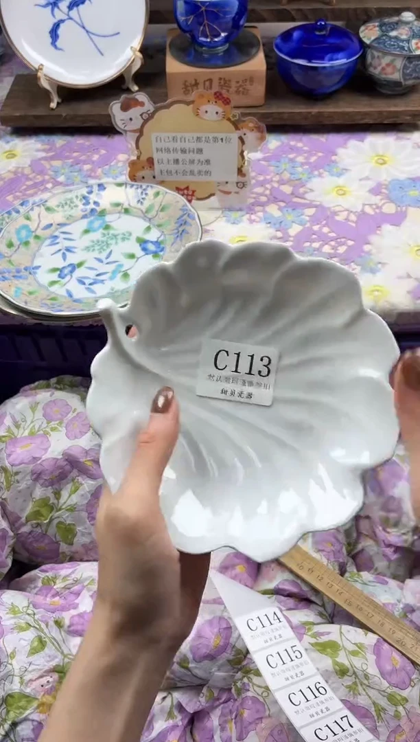 瓷片拾*                C113