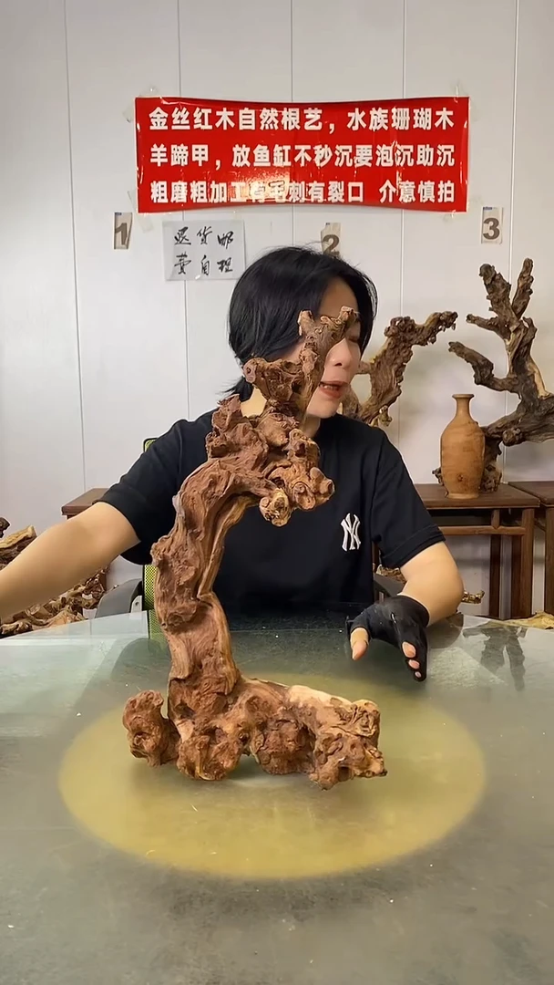 香榧木清*金丝红木 羊蹄甲