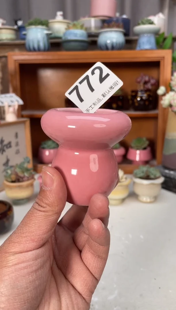 瓷片772小芳直播编号