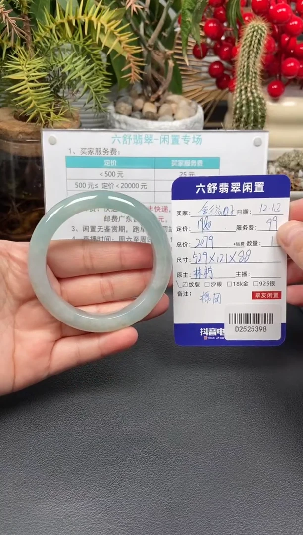 未镶嵌手镯翡翠爱****?D2525398