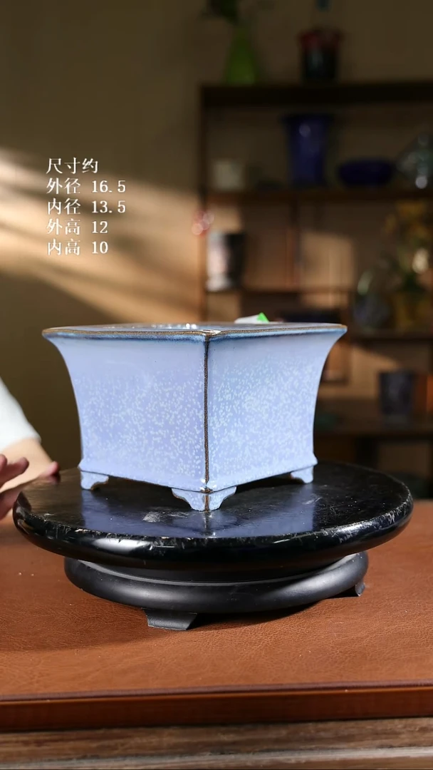 745   6寸飘口兰盆
