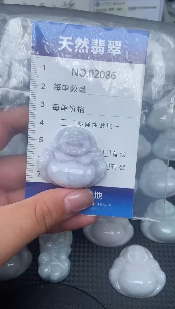 颈饰未镶嵌翡翠纯天然A货翡翠2086