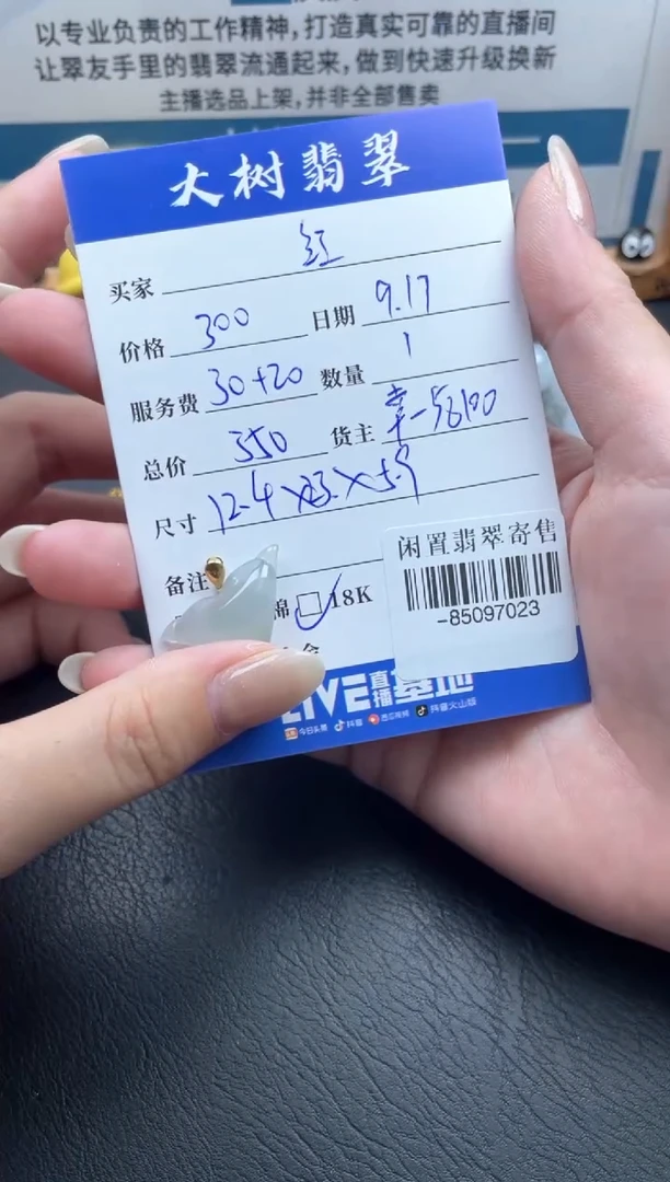 颈饰18K金镶嵌翡翠红-85097023