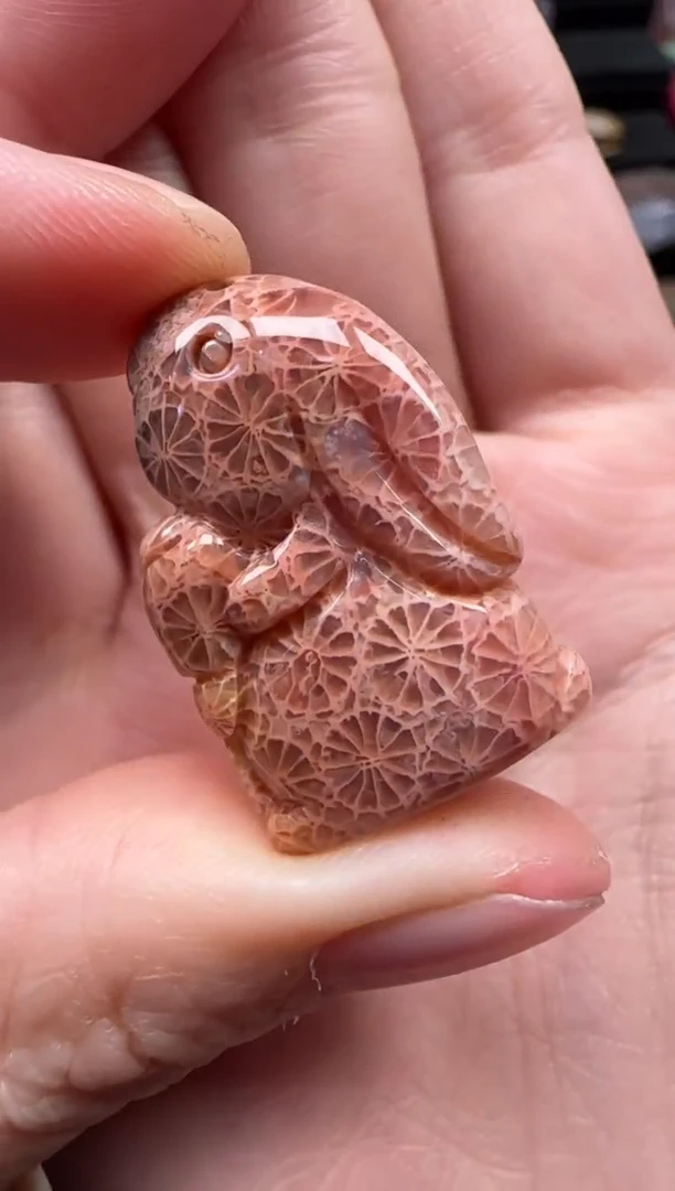 颈饰未镶嵌硅化珊瑚（珊瑚玉）821