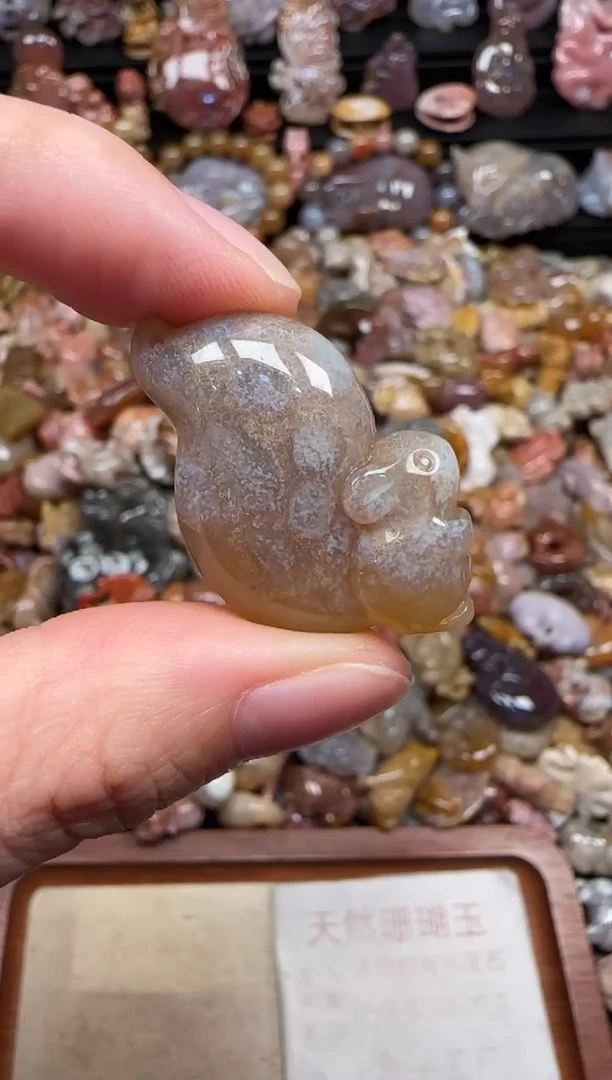 颈饰未镶嵌硅化珊瑚（珊瑚玉）729