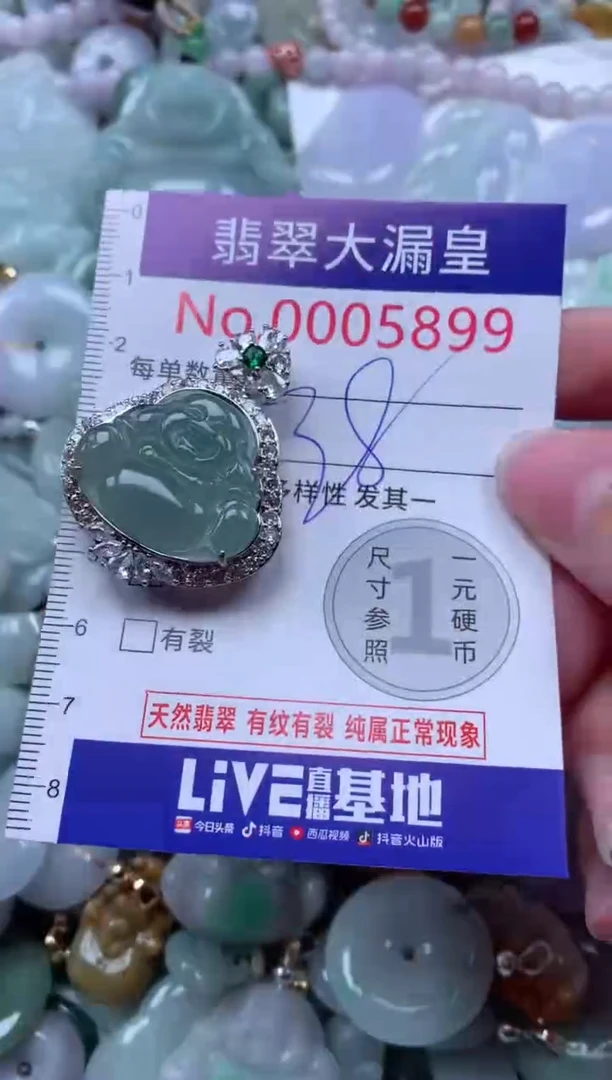 翡翠未镶嵌吊坠(不含链)5899