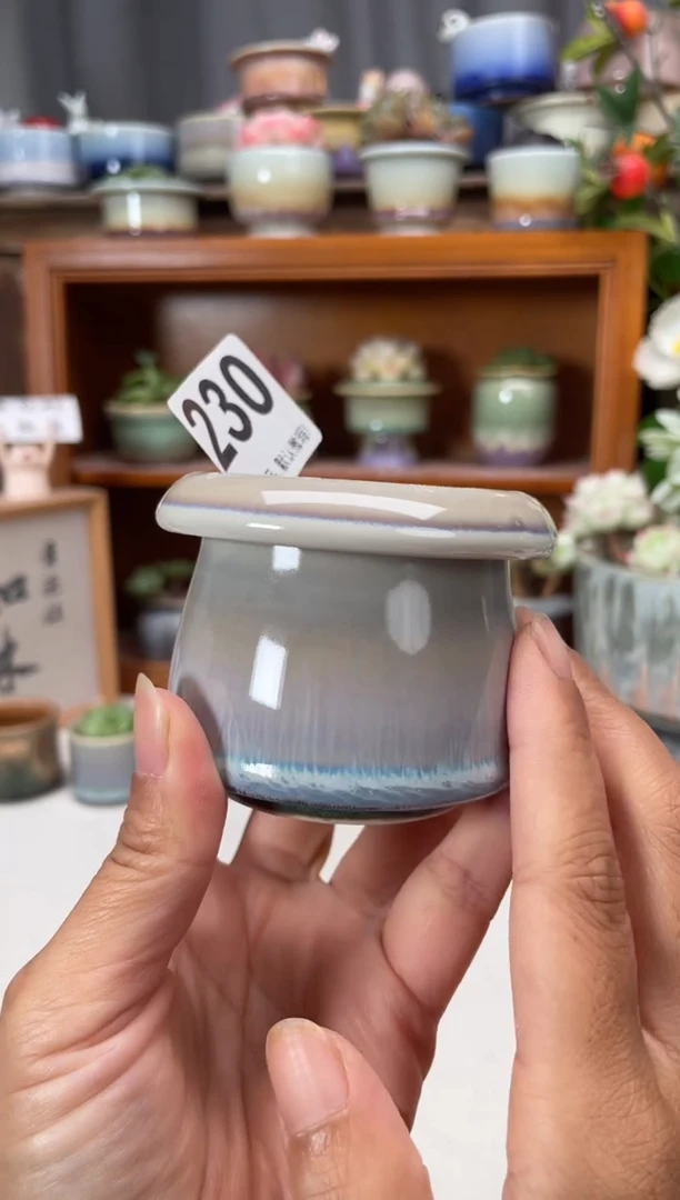 瓷片230知木小芳花盆直播编号