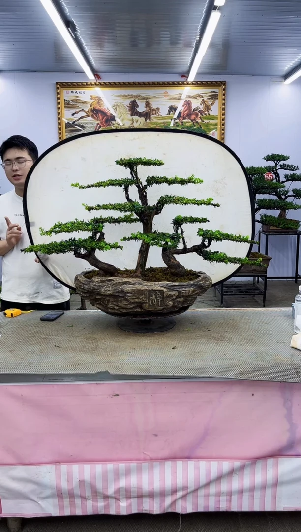 无花朵一物一拍，所见即所得