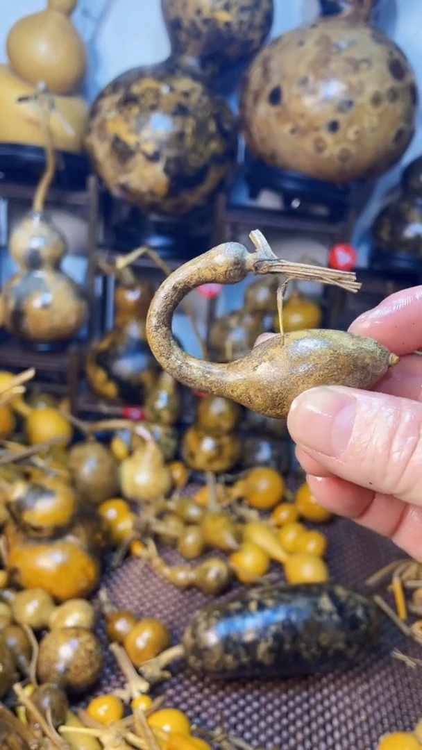 【闪购商品】葫芦葫芦葫芦葫芦