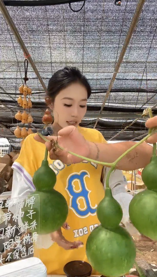 854天然葫芦摆件 一物一拍龙头不保售后