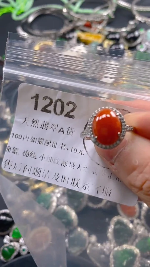 翡翠未镶嵌吊坠(不含链)1202