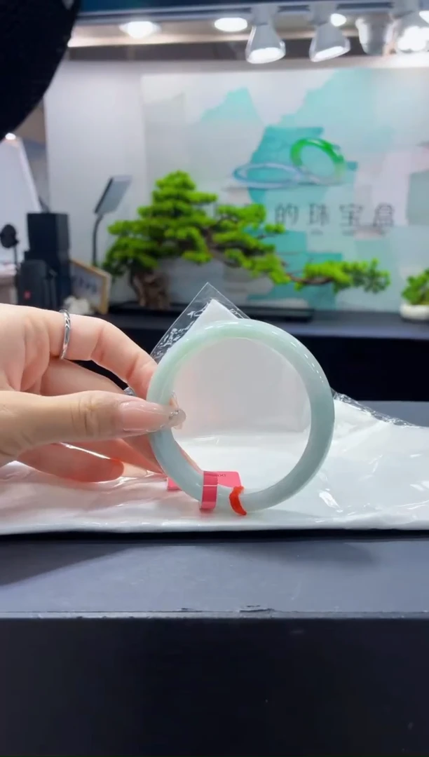 未镶嵌手镯翡翠9