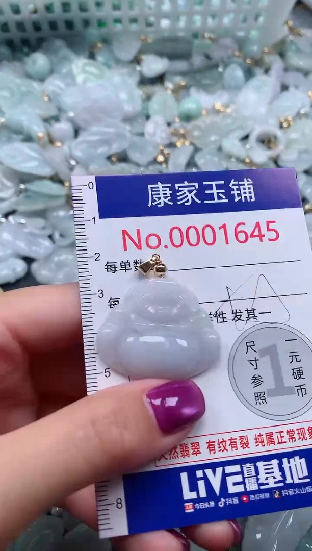 颈饰未镶嵌翡翠1645