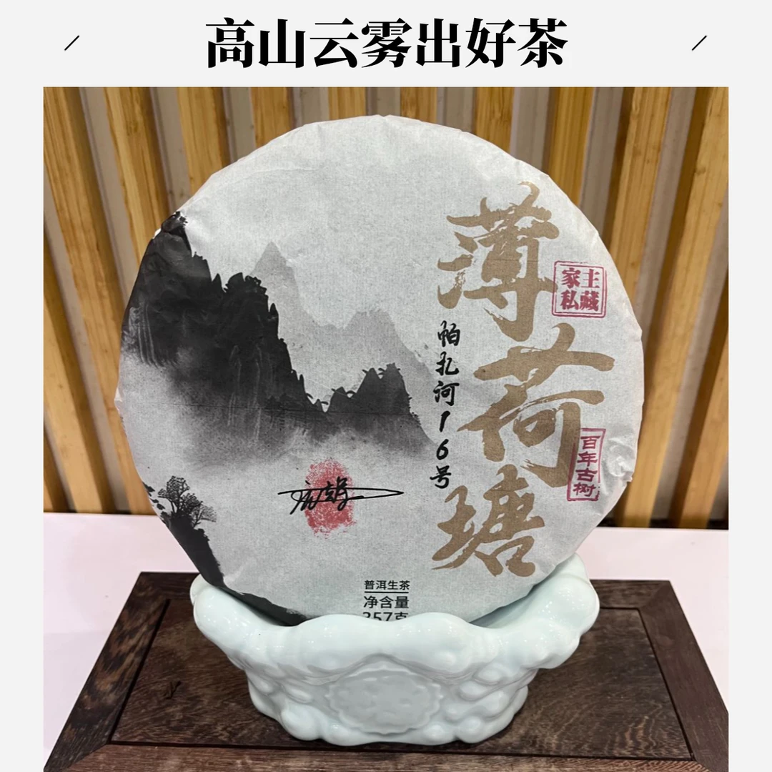 【老九好茶】2019年 薄荷塘 家主私藏 帕扎河16号 普洱茶 生茶