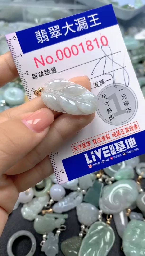 颈饰未镶嵌翡翠1810