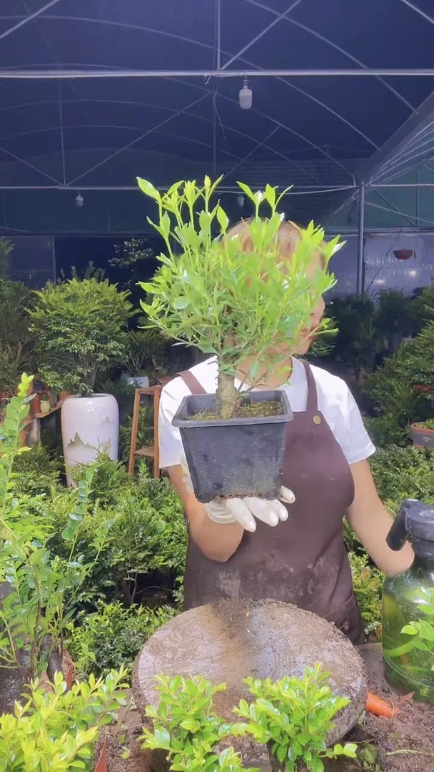 完全开放0000000000