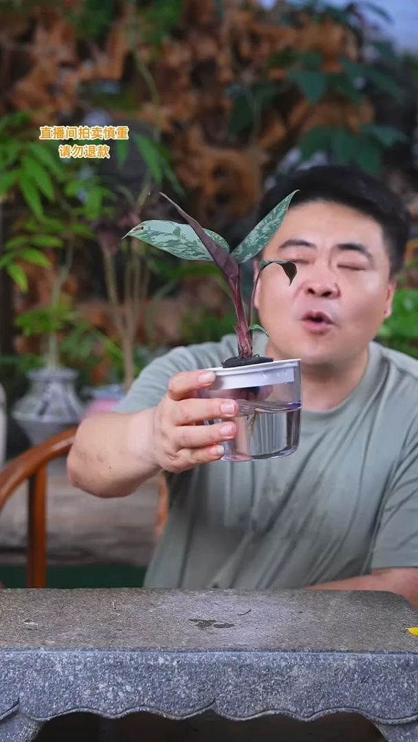 完全开放紫背落檐+亚克力