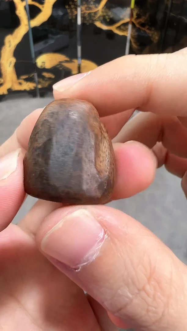 沉香吊坠74号顺化红土舍利子多样性发一