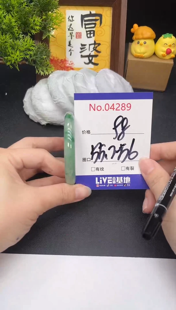 未镶嵌手镯翡翠4289