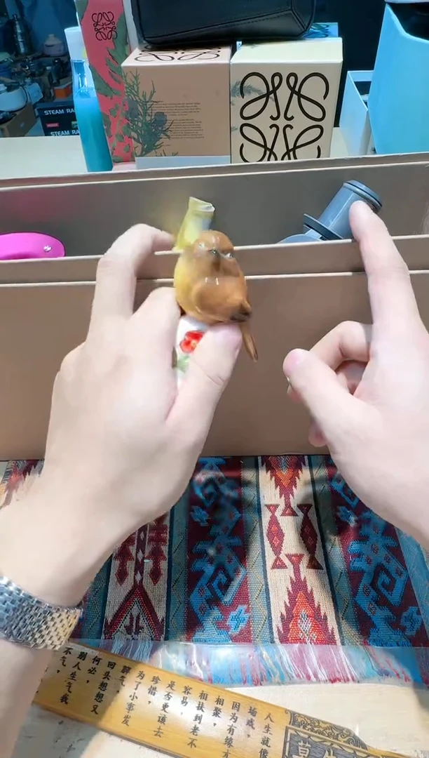 【闪购商品】瓷片11111111111111