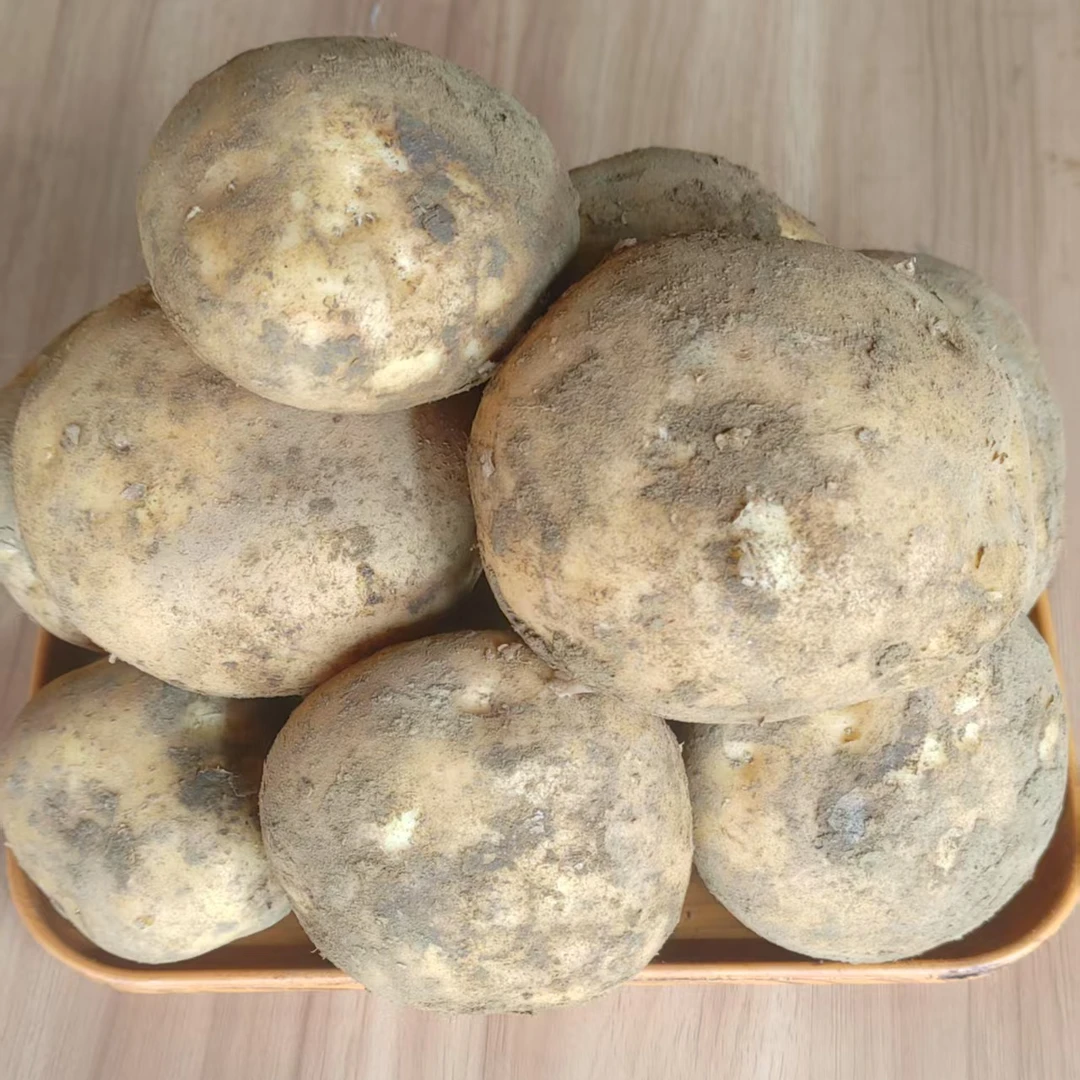 云南新土豆304炸片专用