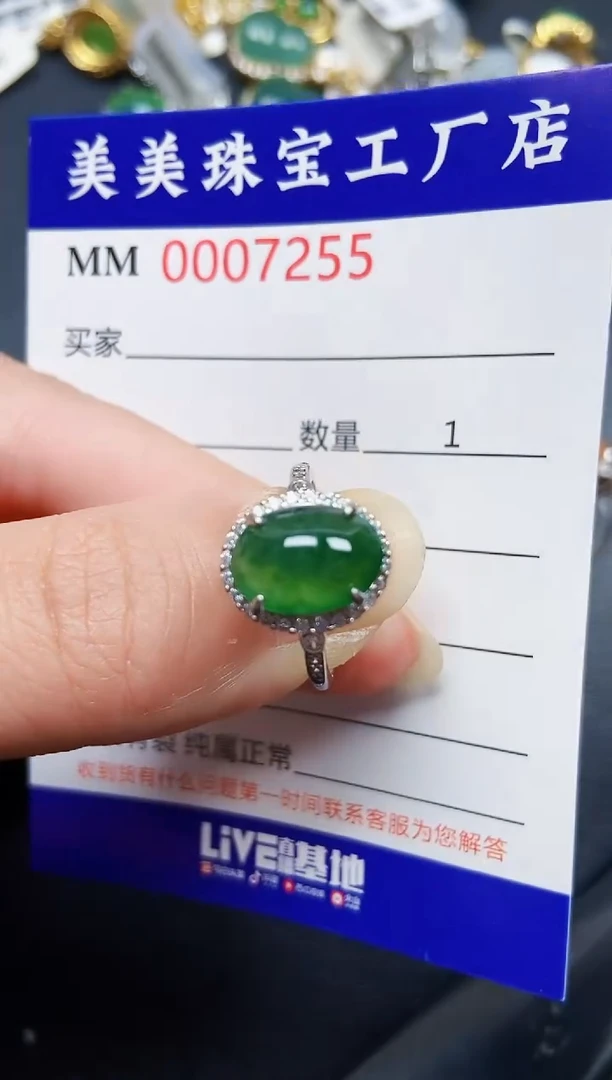 翡翠银S925镶嵌颈饰7255