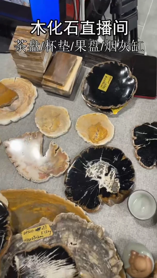 石材木化石不规则杯垫