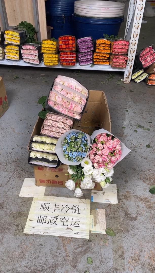 骄傲5扎+粉雪山3扎+曼塔3扎+折射1扎+白桔梗800克+蓝星花2扎