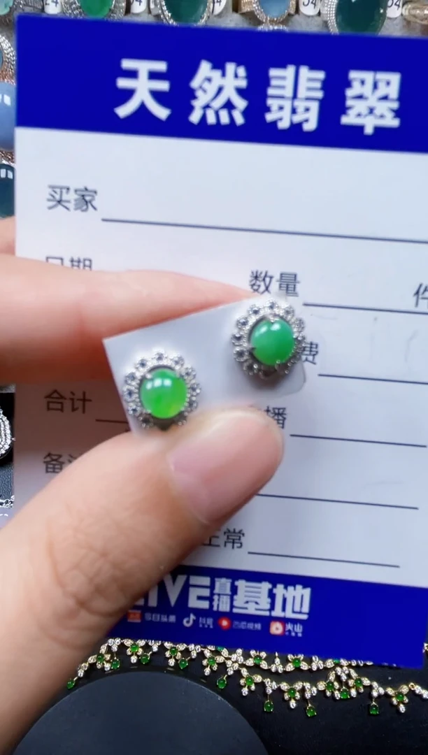 银S925镶嵌翡翠耳饰179