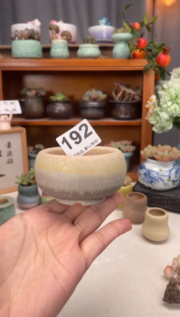 瓷片192知木小芳花盆