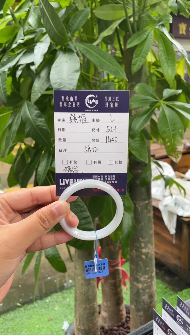 未镶嵌手镯翡翠L 52正圈 5822