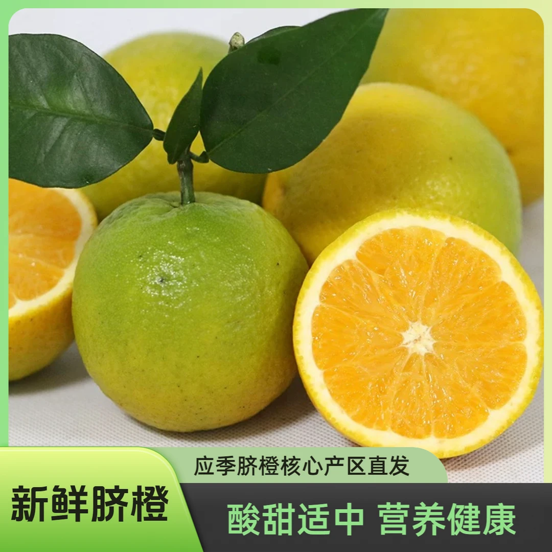 橙子正宗夏橙脐橙新鲜应季鲜橙水果鲜果整箱赣南宜昌产地直发包邮