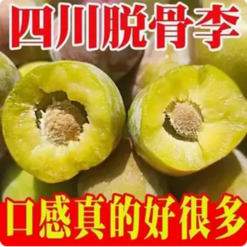 四川高山脱骨李子半边红脆李新鲜采摘现摘现发应季水果酸甜多汁