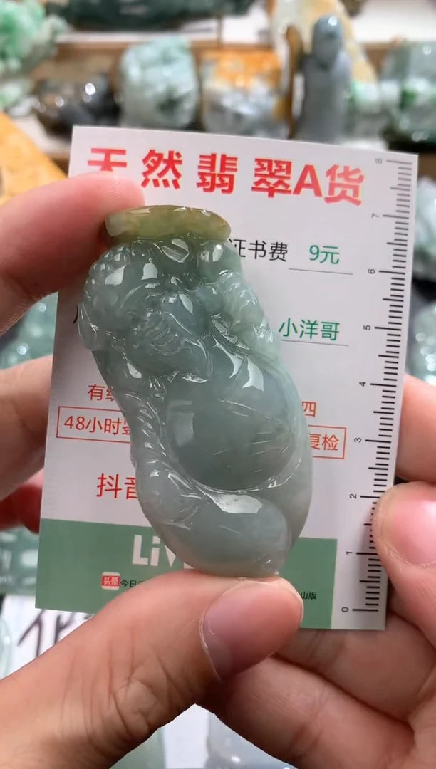翡翠未镶嵌吊坠(不含链)1